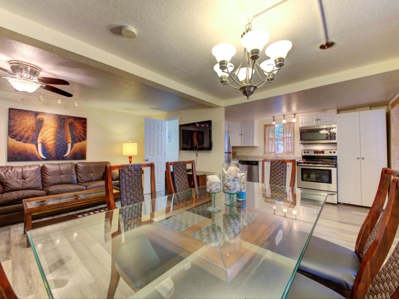 Elephant-kitchen-dining-living-2019